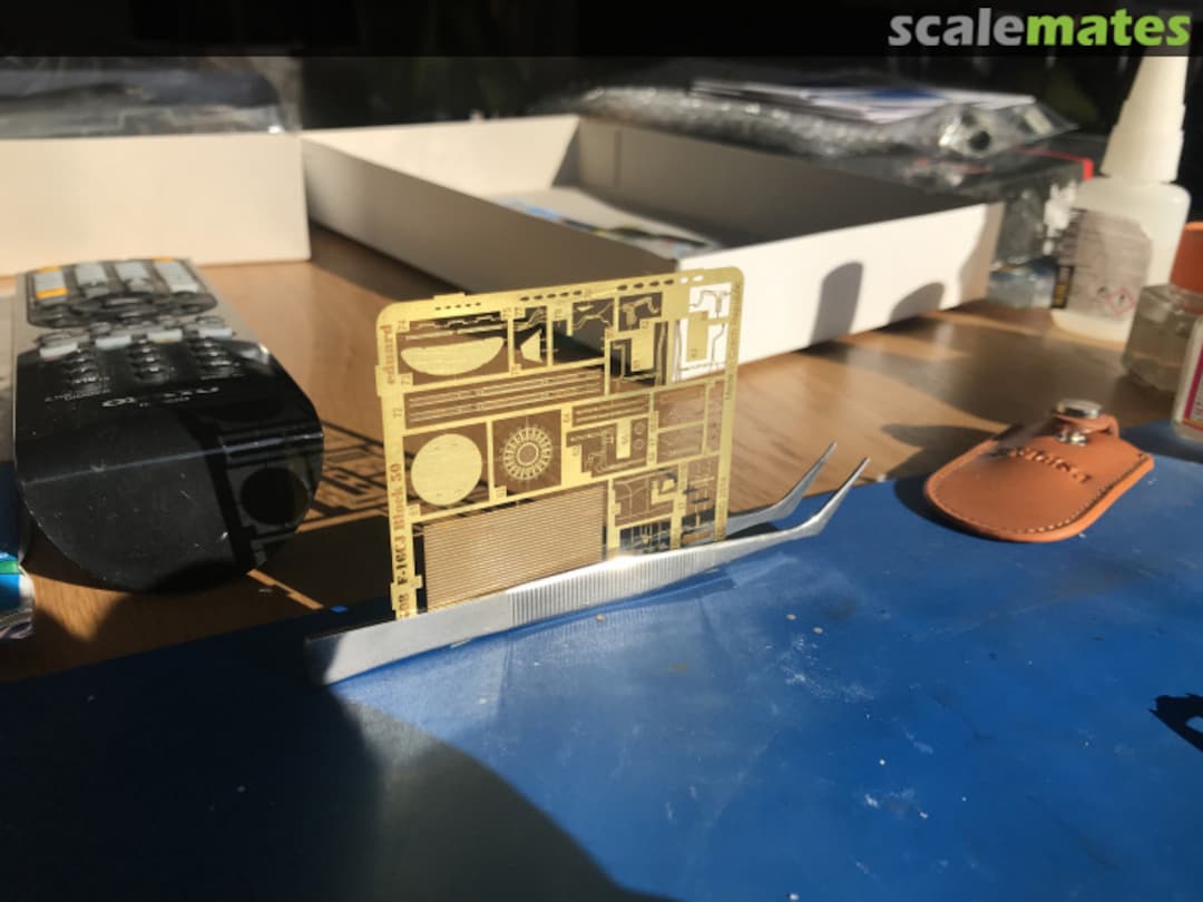 View album, image #5