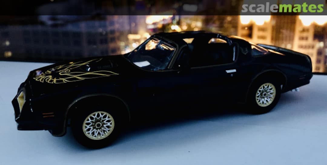 View album, image #14 View album, image #14