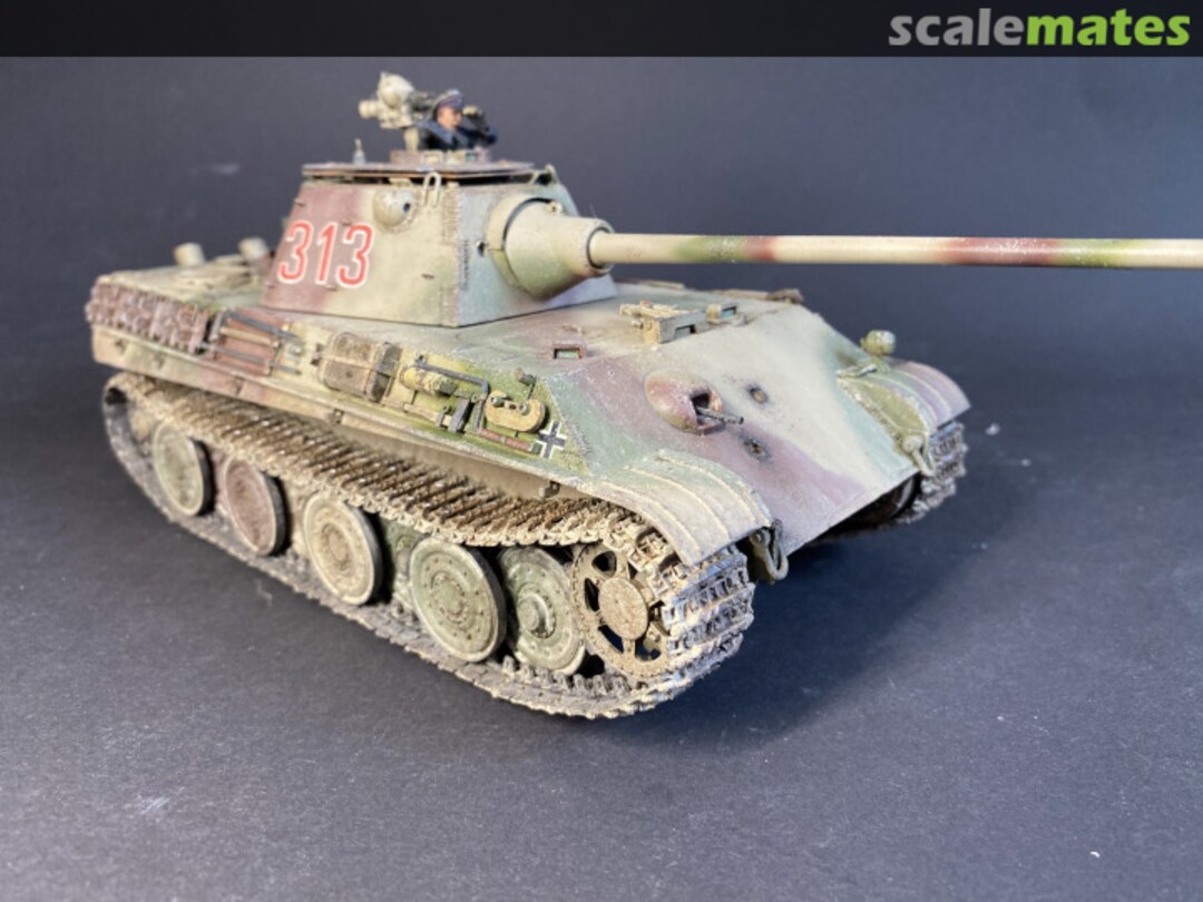 View album, image #1