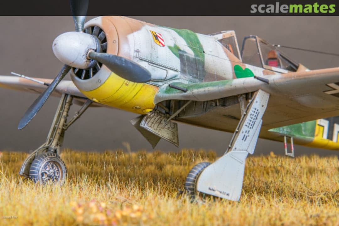 View album, image #3