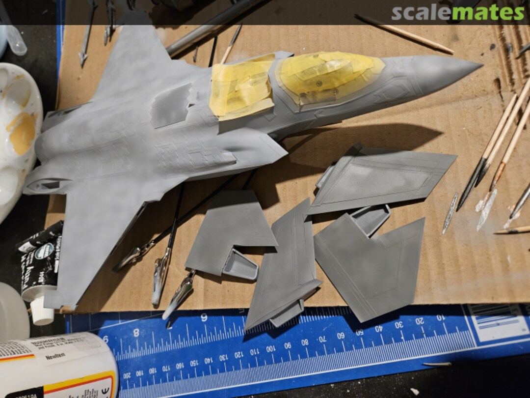 View album, image #1 View album, image #1