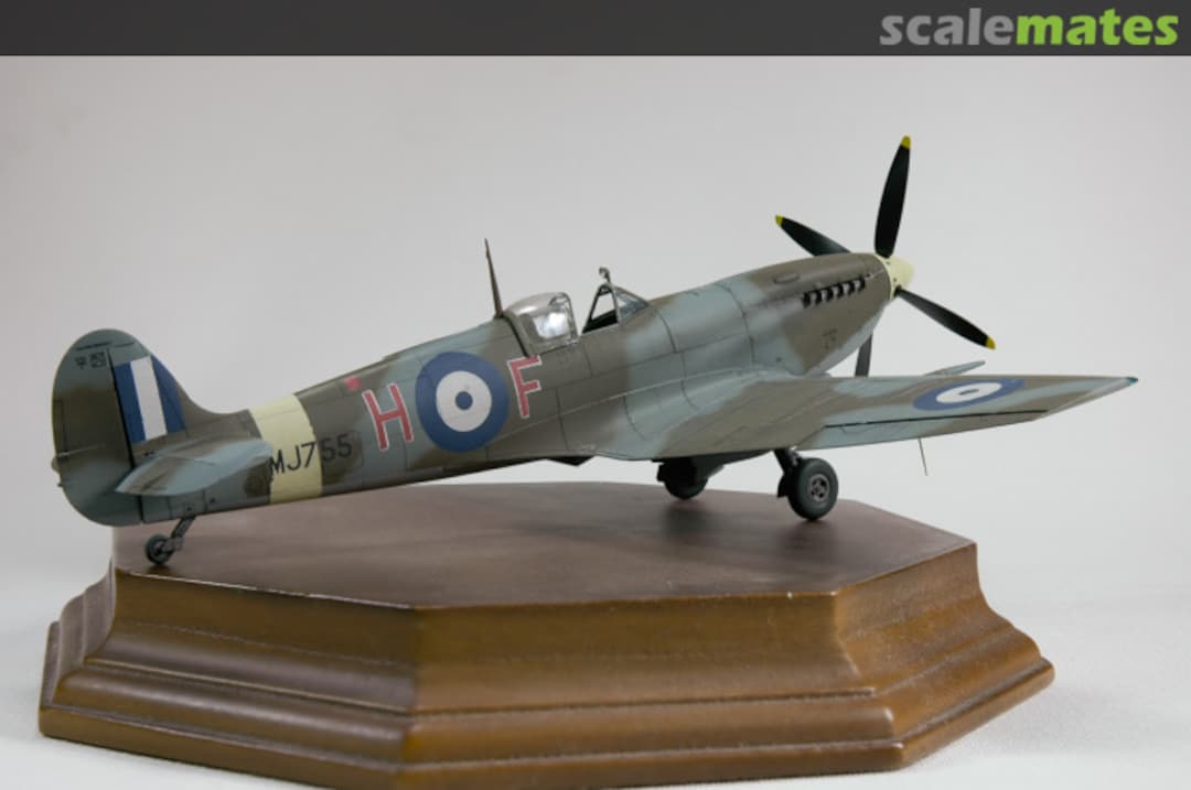 View album, image #4 View album, image #4