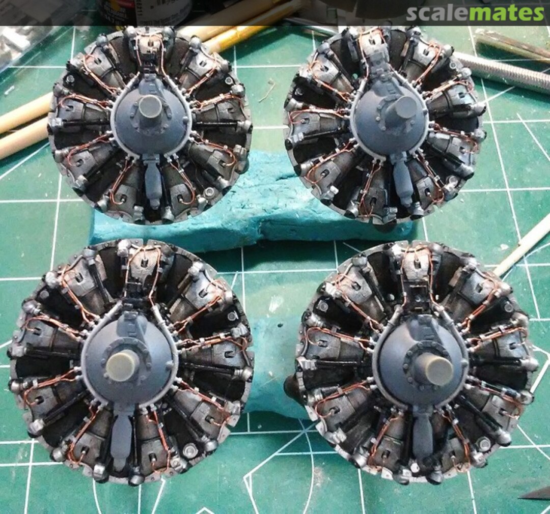 View album, image #1