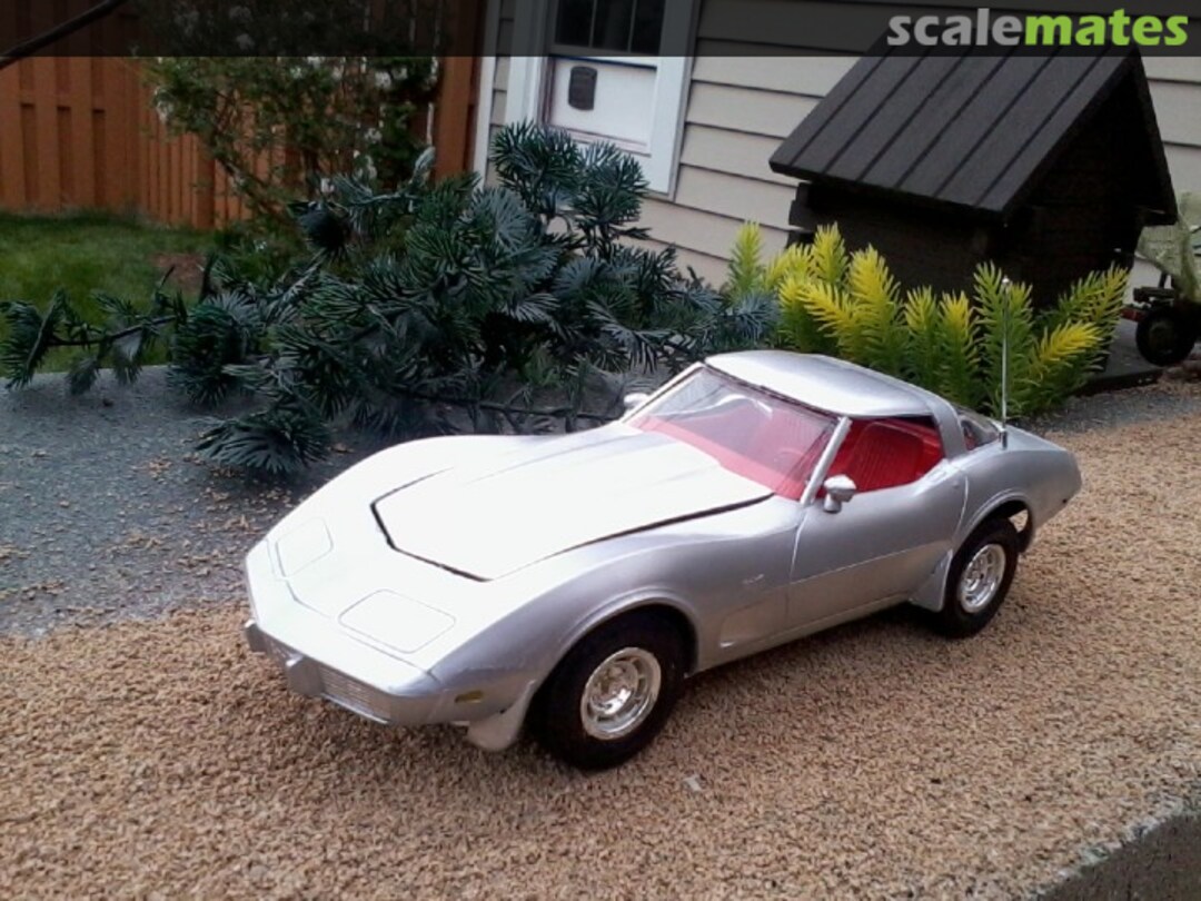 View album, image #3 View album, image #3