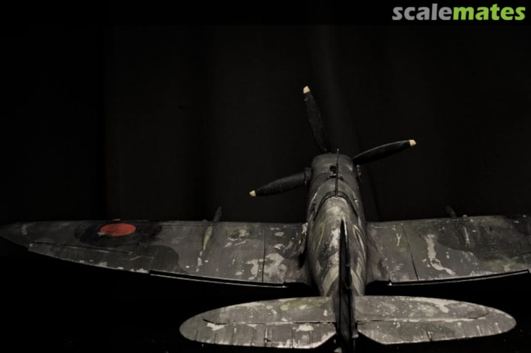 View album, image #1