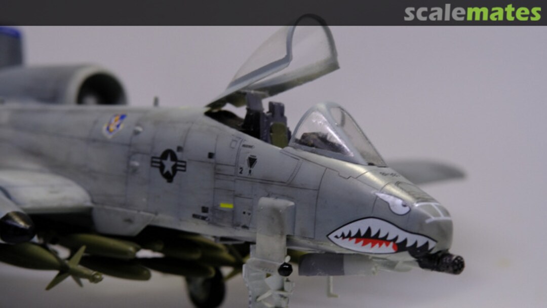 View album, image #4