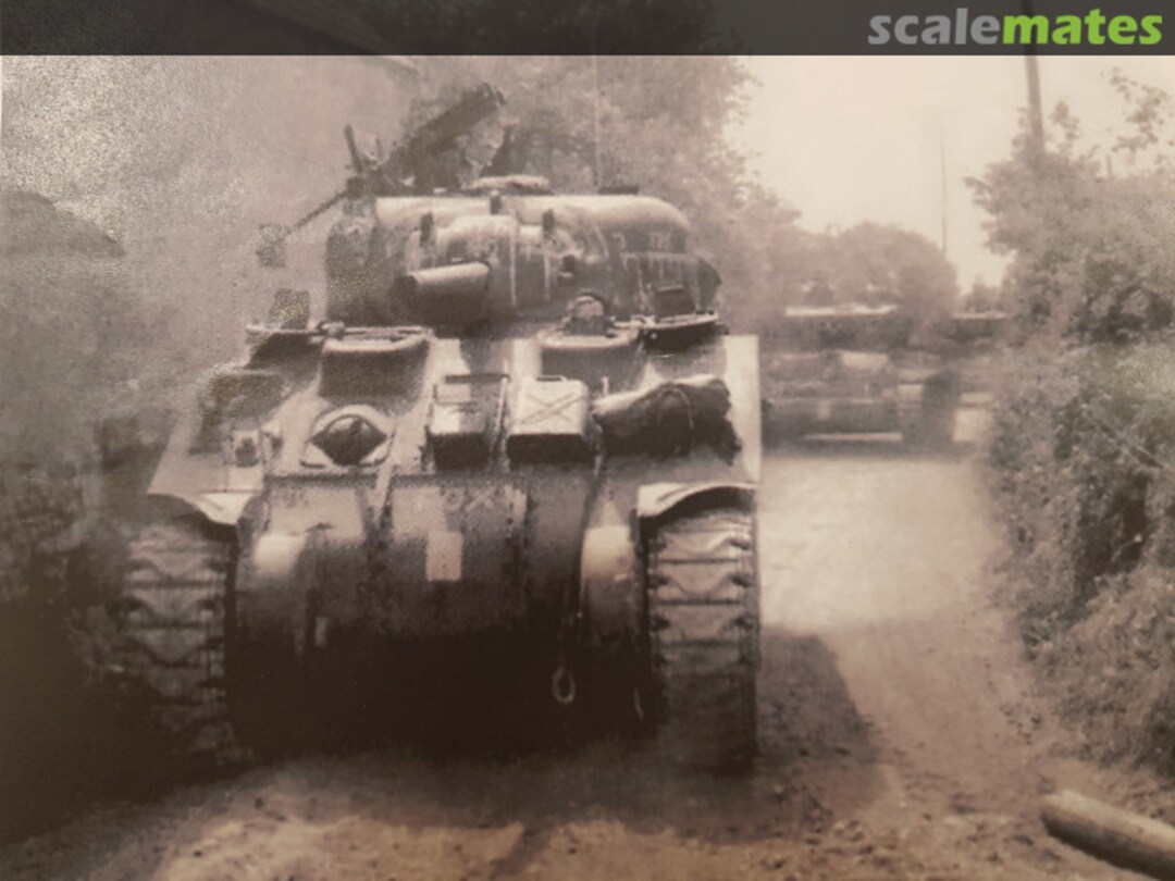 View album, image #6