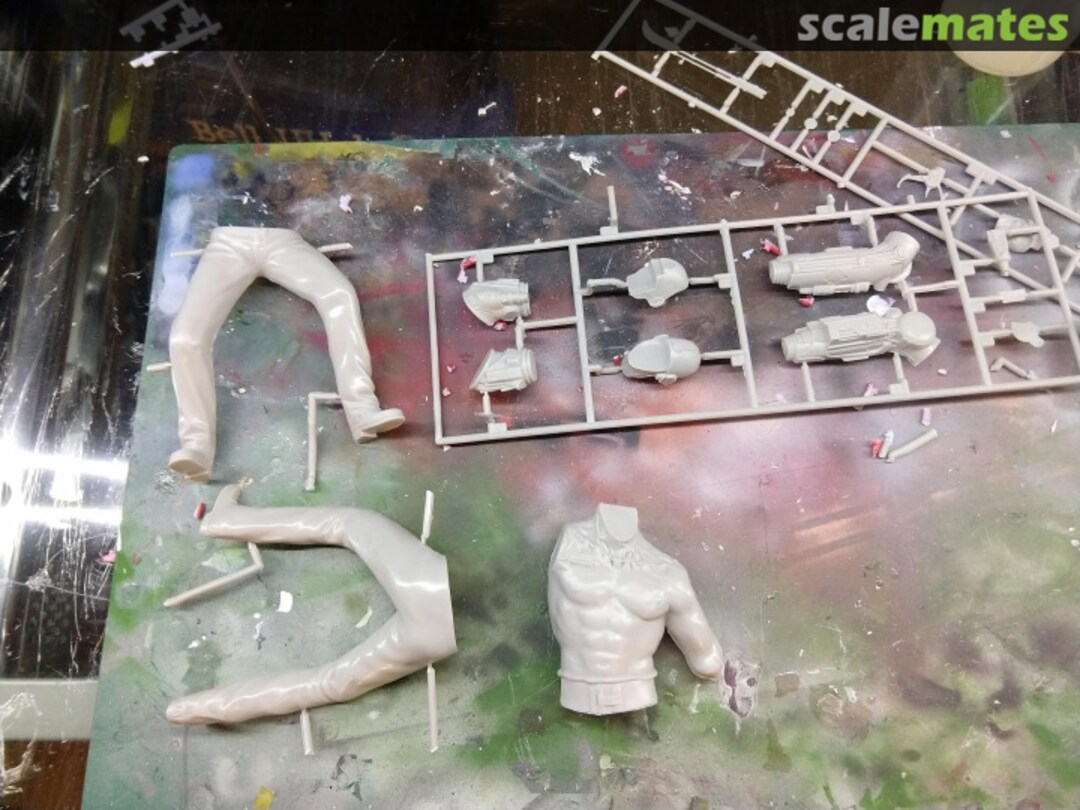 View album, image #1 View album, image #1