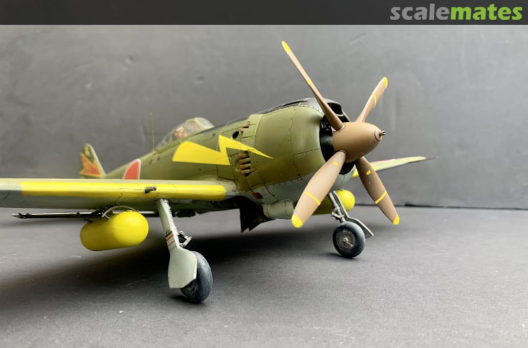 View album, image #5 View album, image #5