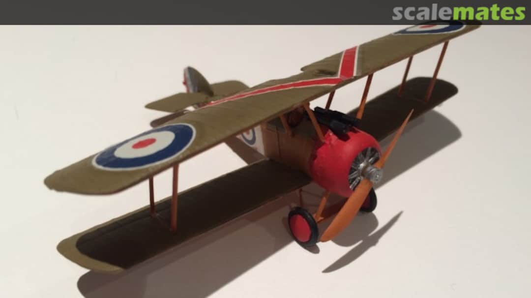 View album, image #14