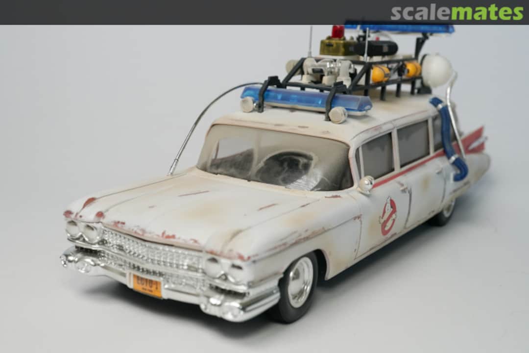 View album, image #1 View album, image #1