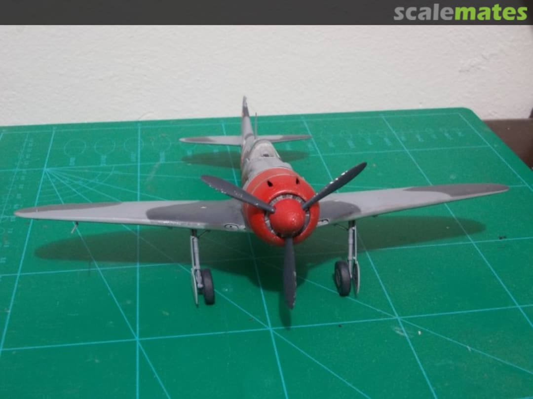 View album, image #1