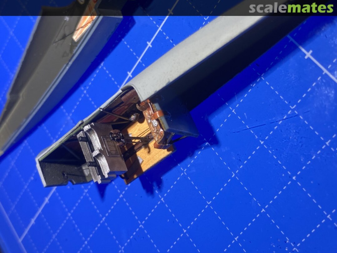 View album, image #1 View album, image #1