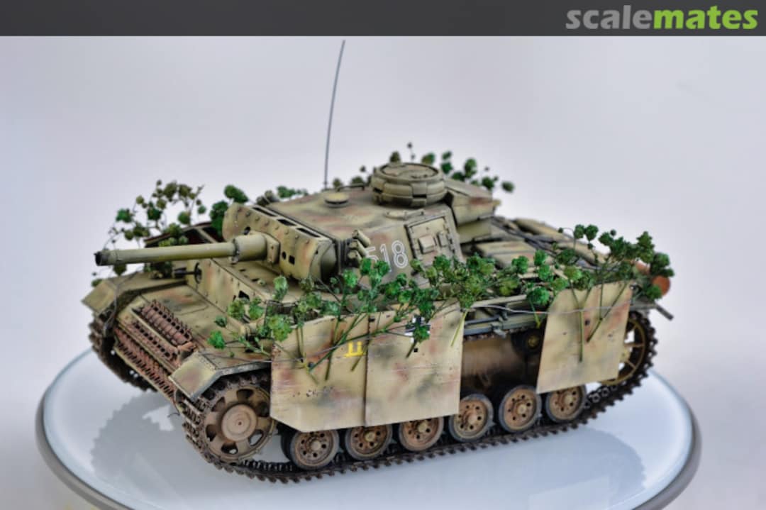 View album, image #1 View album, image #1