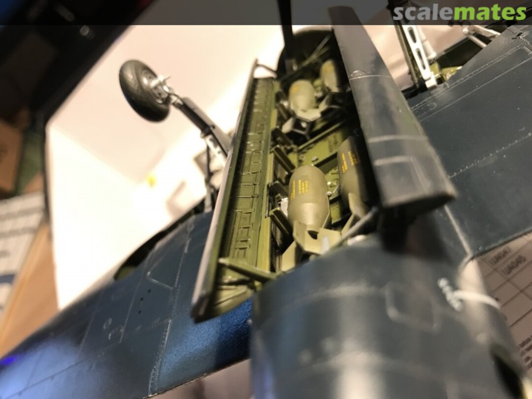 View album, image #1