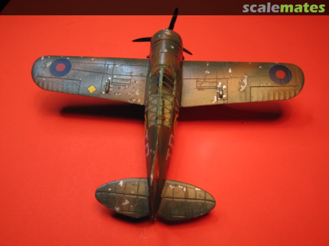 View album, image #1 View album, image #1