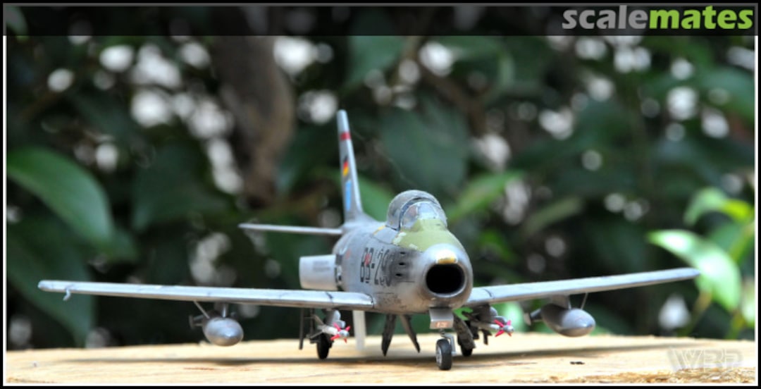 View album, image #1 View album, image #1