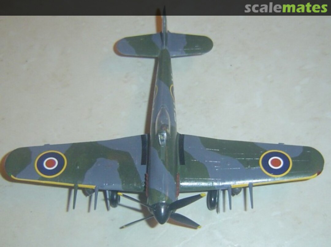 View album, image #1 View album, image #1