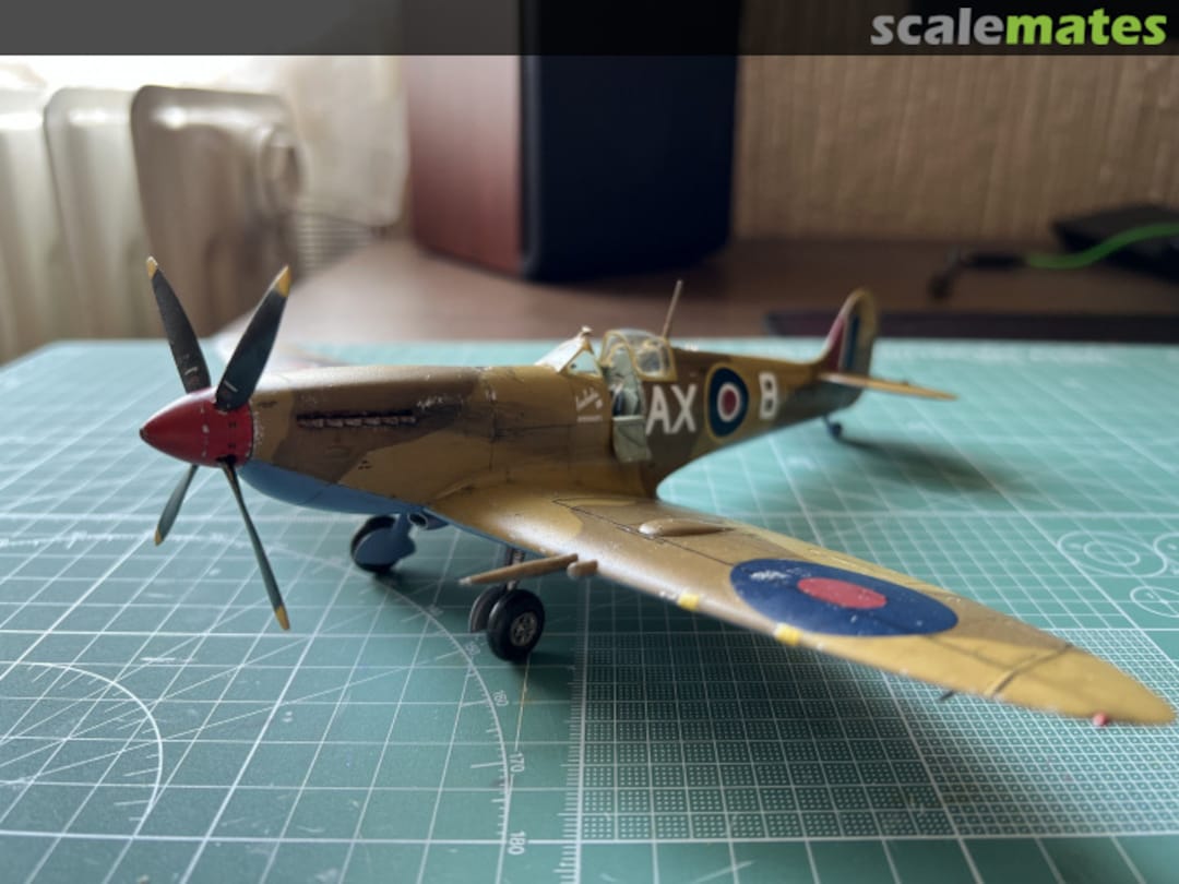 View album, image #1 View album, image #1