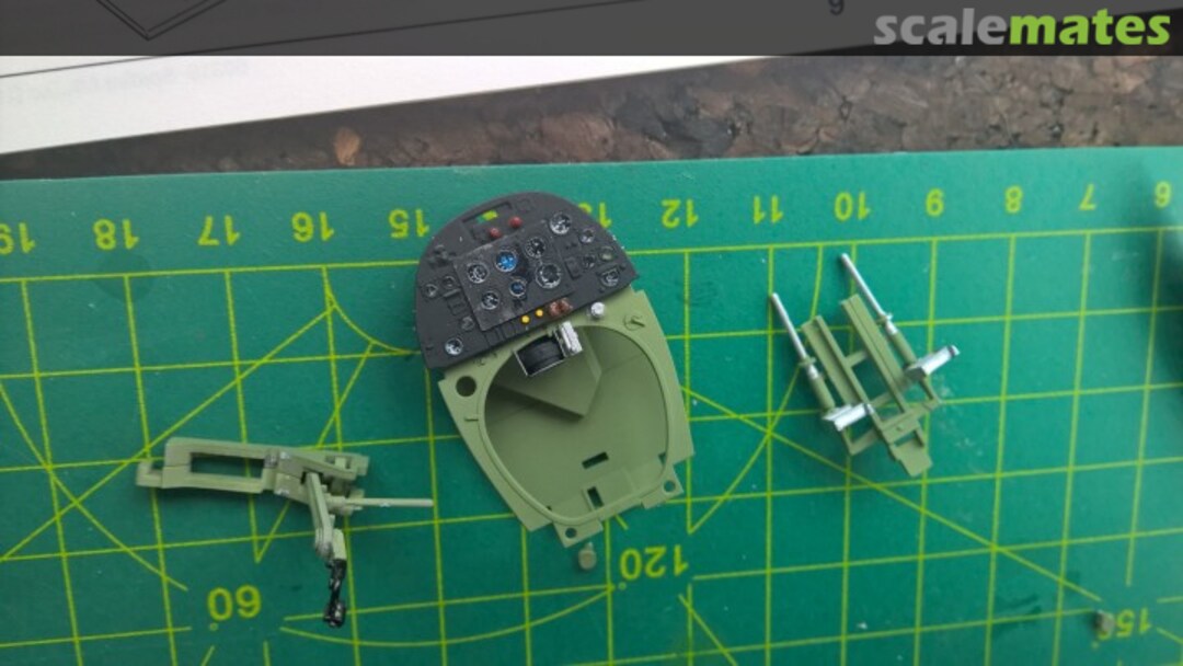 View album, image #1 View album, image #1