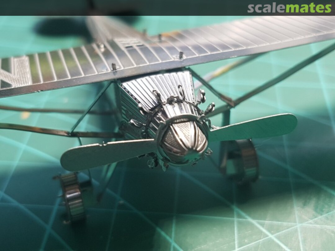 View album, image #3 View album, image #3