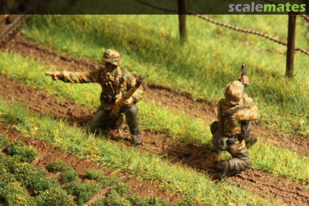 View album, image #28 View album, image #28