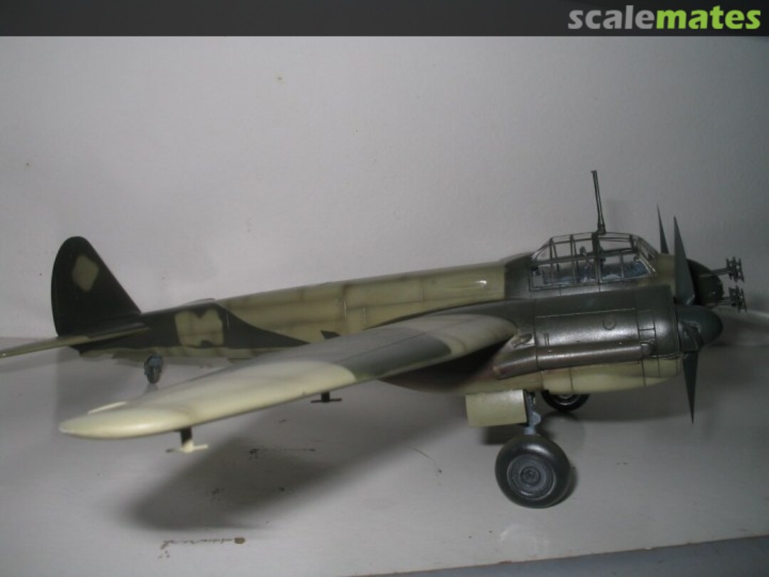 View album, image #1 View album, image #1