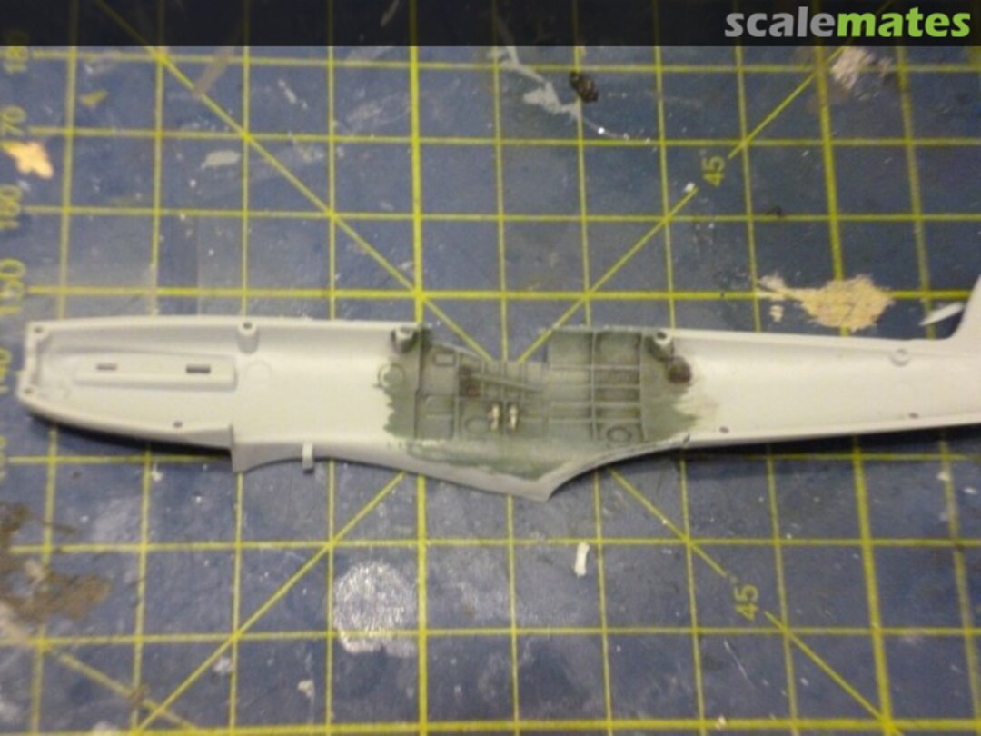 View album, image #1 View album, image #1