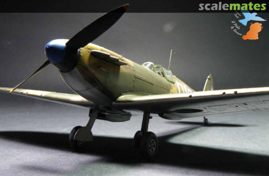 View album, image #1 View album, image #1