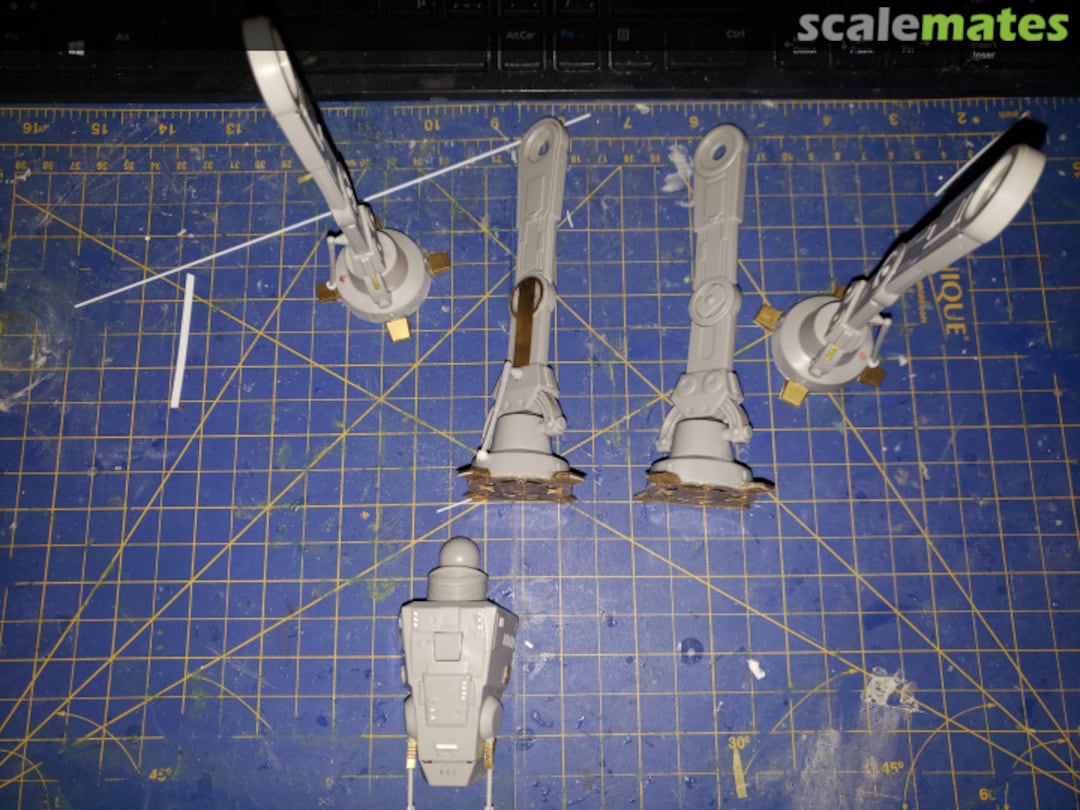 View album, image #1 View album, image #1