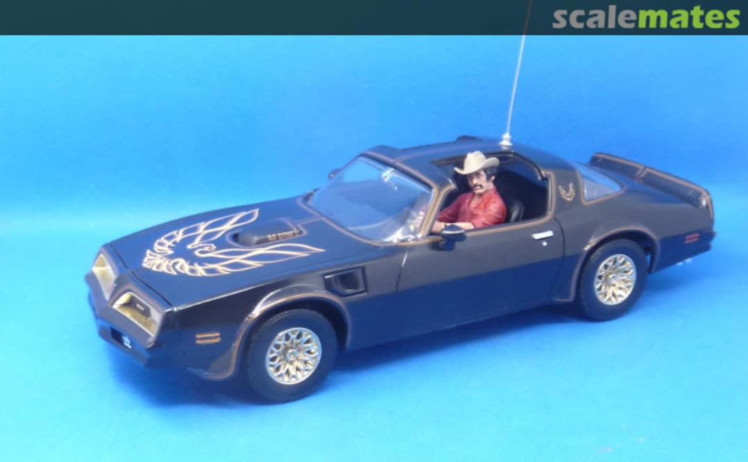 View album, image #1 View album, image #1