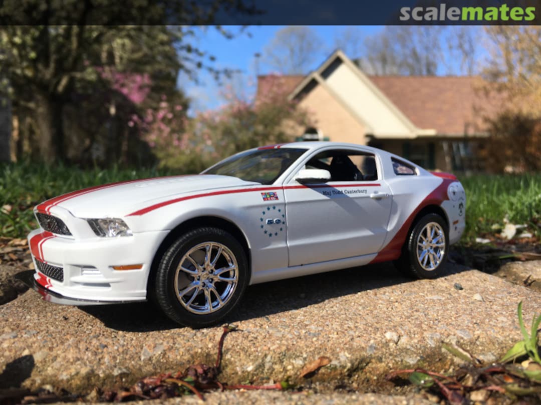 View album, image #9 View album, image #9