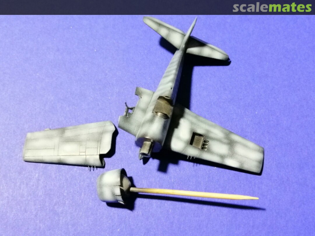 View album, image #11 View album, image #11