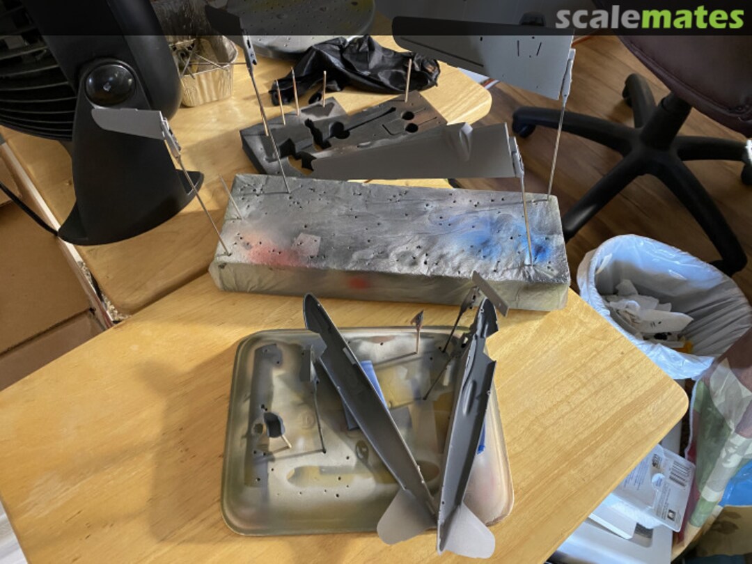 View album, image #1