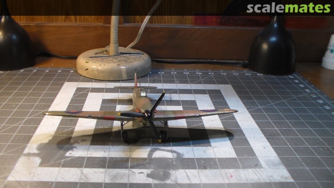 View album, image #1 View album, image #1