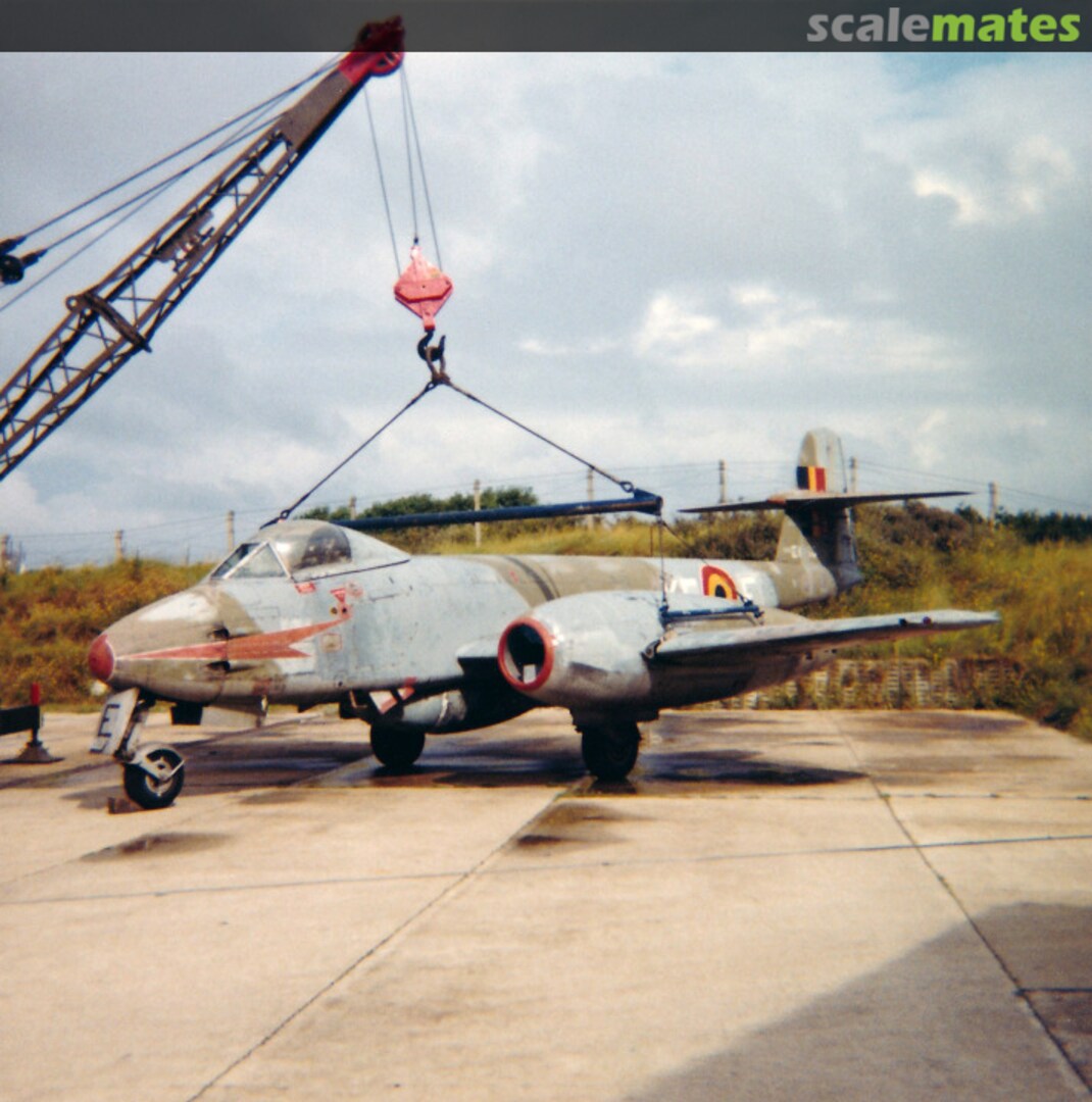 View album, image #4 View album, image #4