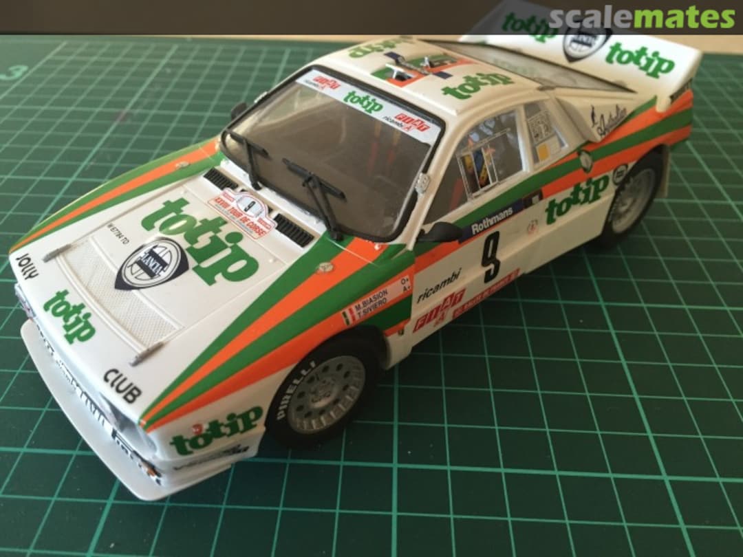 View album, image #1 View album, image #1