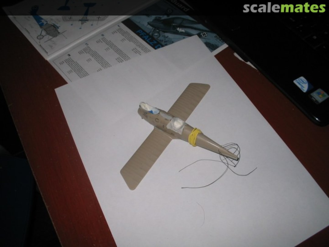 View album, image #1 View album, image #1