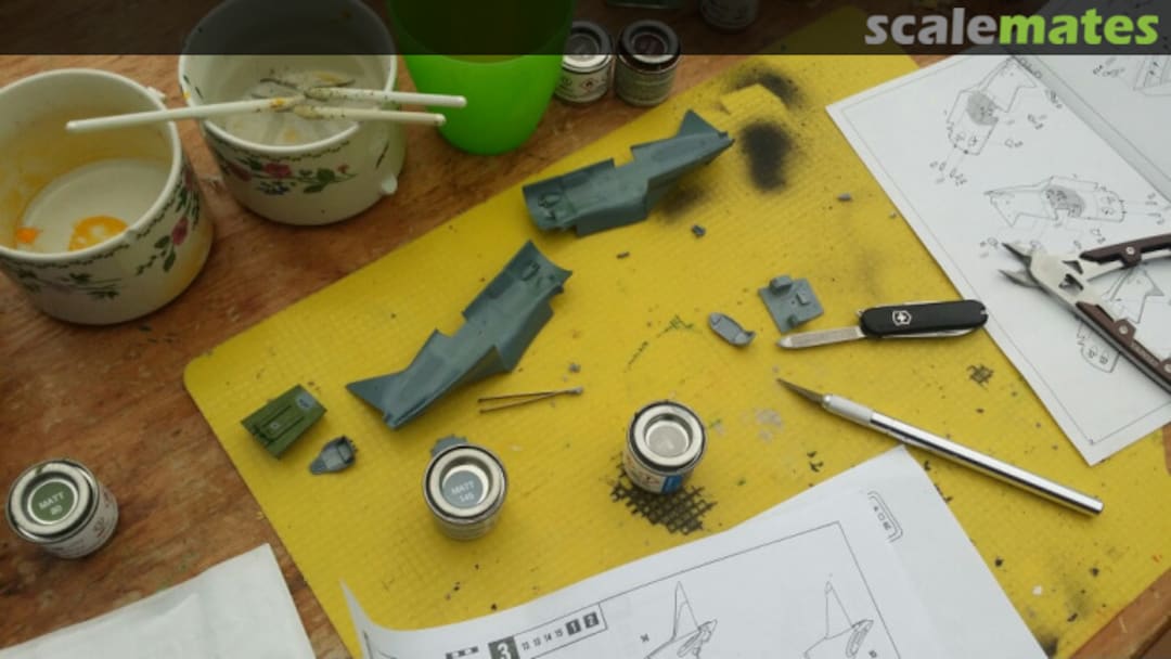 View album, image #1 View album, image #1