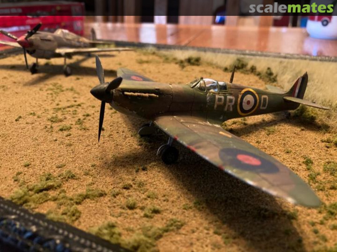 View album, image #1 View album, image #1