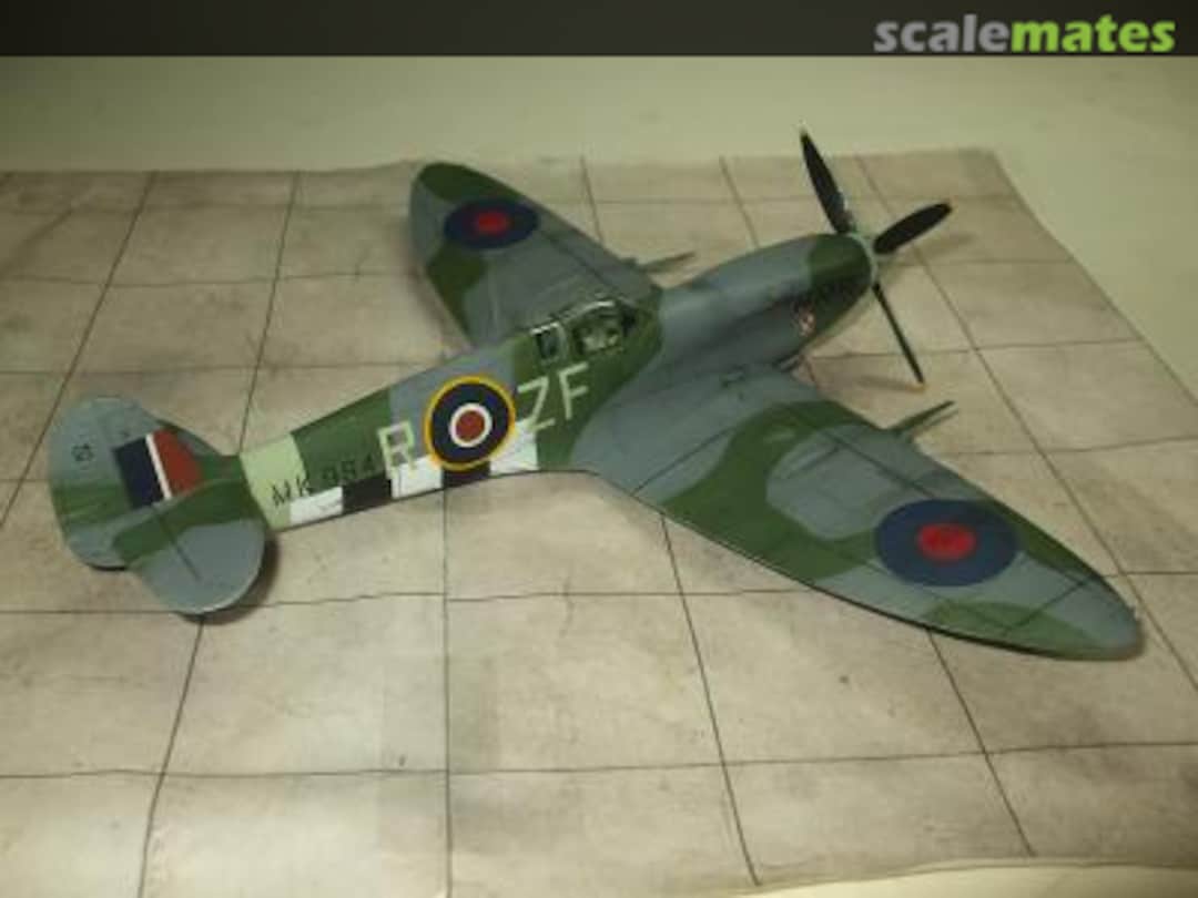 View album, image #1 View album, image #1