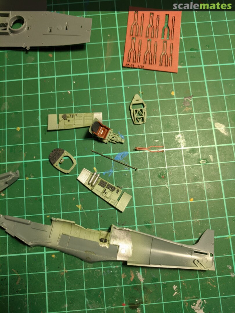 View album, image #1 View album, image #1