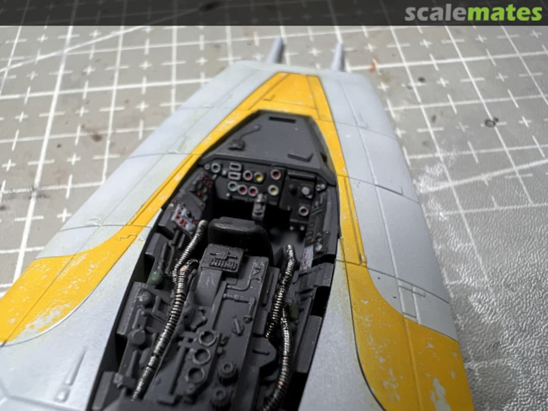 View album, image #1 View album, image #1