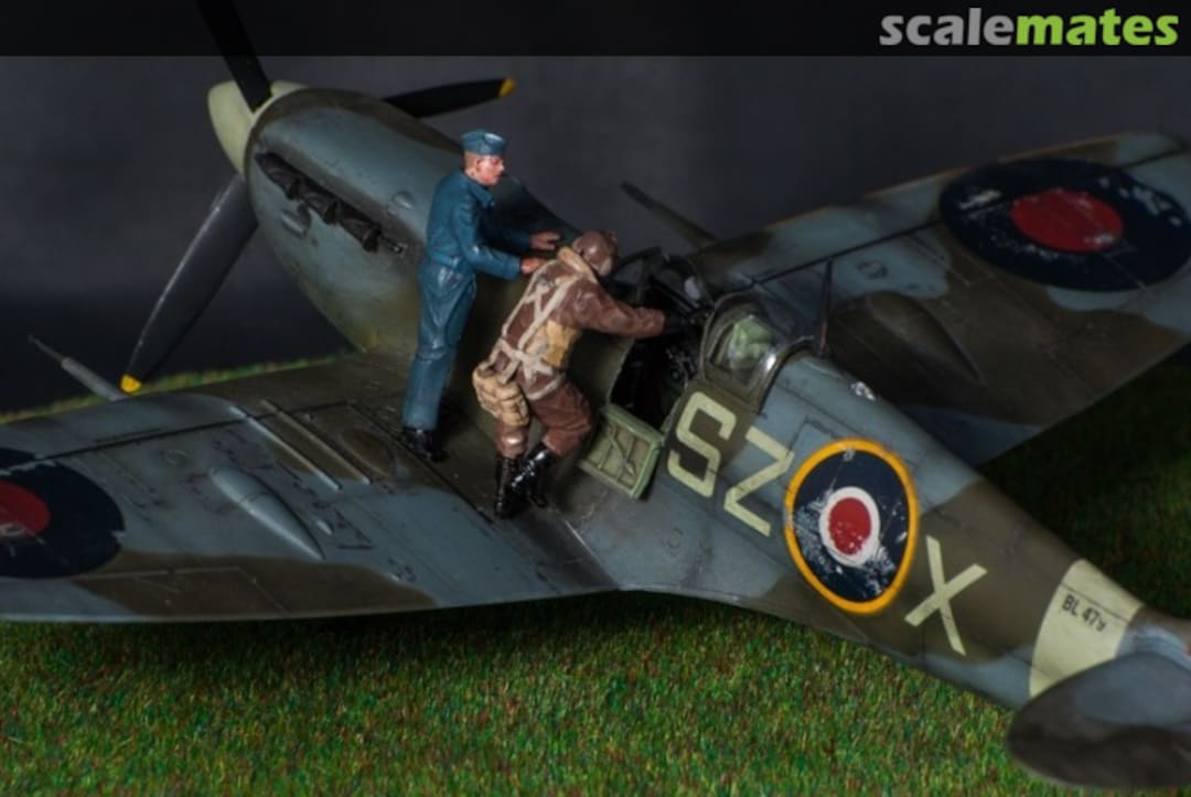 View album, image #1 View album, image #1