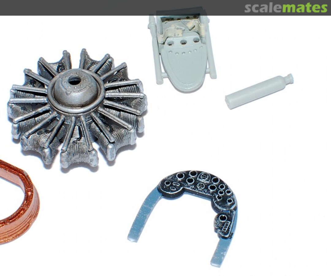 View album, image #1 View album, image #1