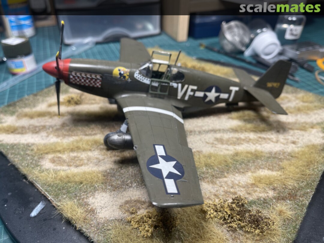 View album, image #1 View album, image #1