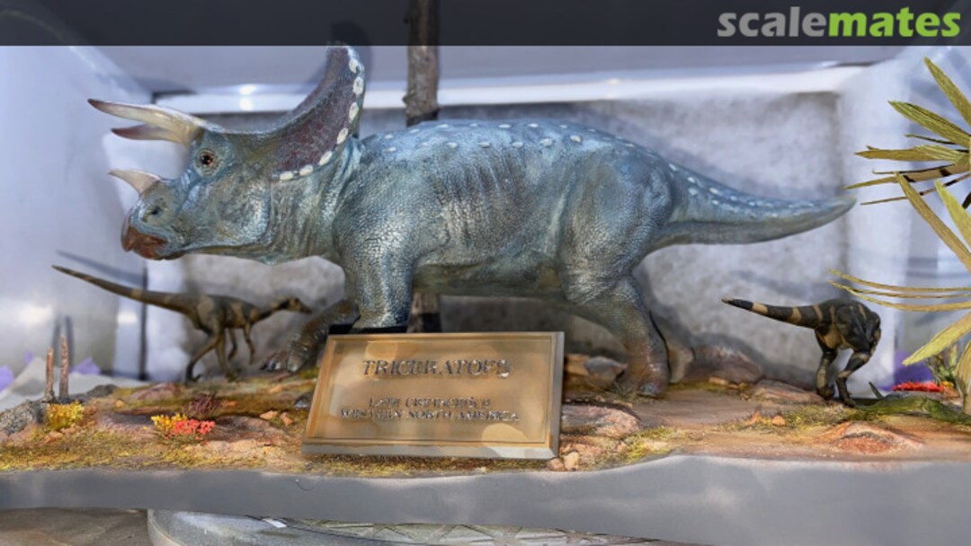 View album, image #13 View album, image #13