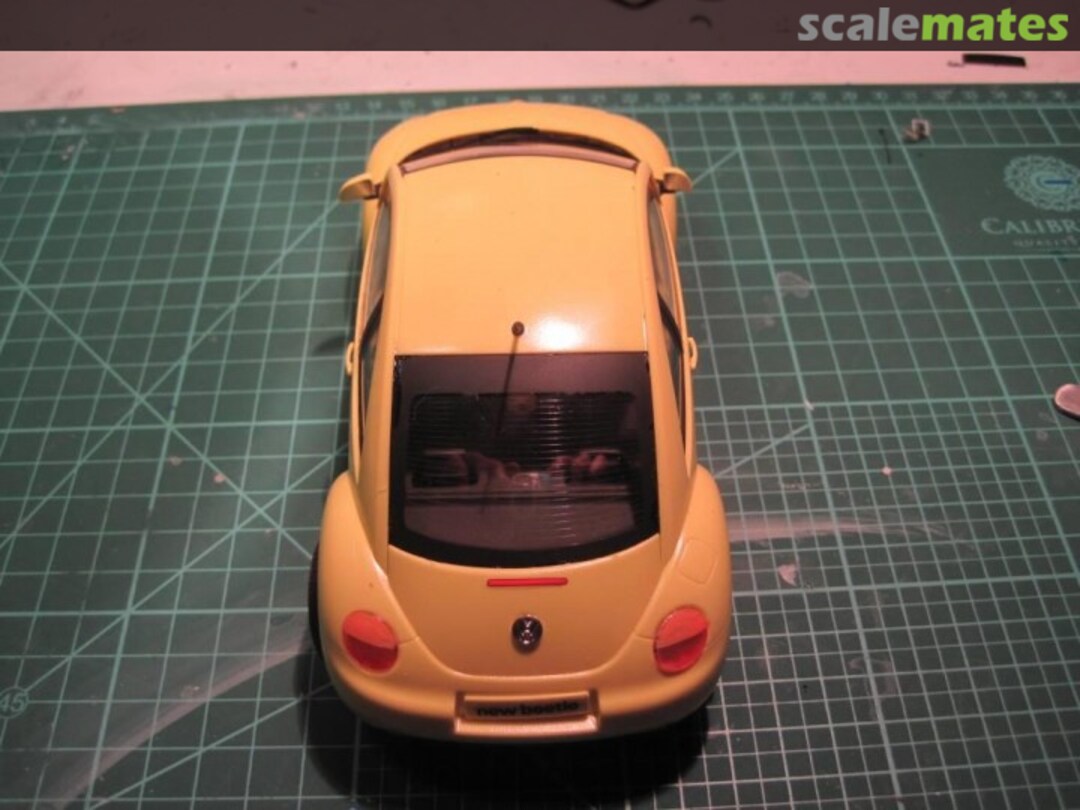 View album, image #1