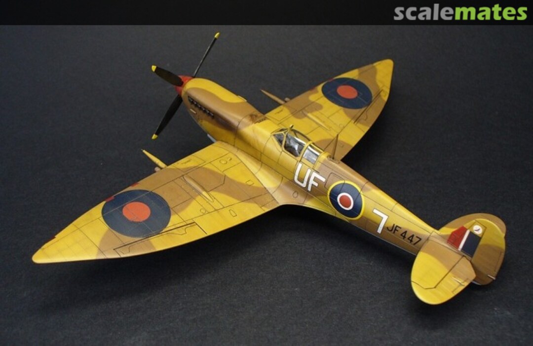 View album, image #1 View album, image #1