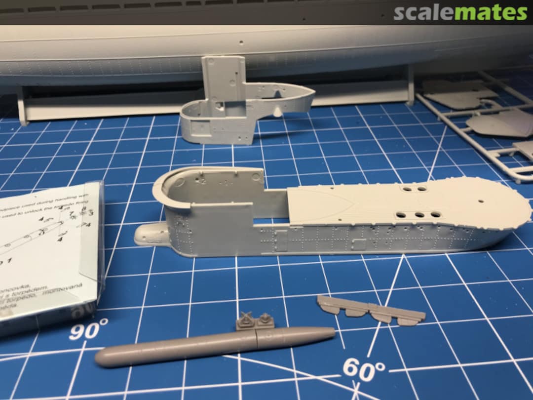 View album, image #1 View album, image #1